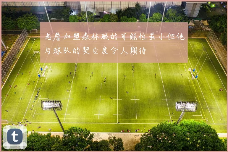 老詹加盟森林狼的可能性虽小但他与球队的契合度令人期待